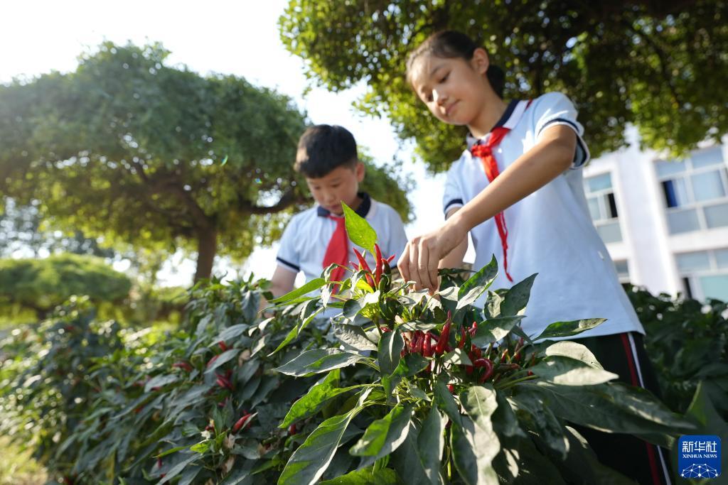 天天游戏大厅